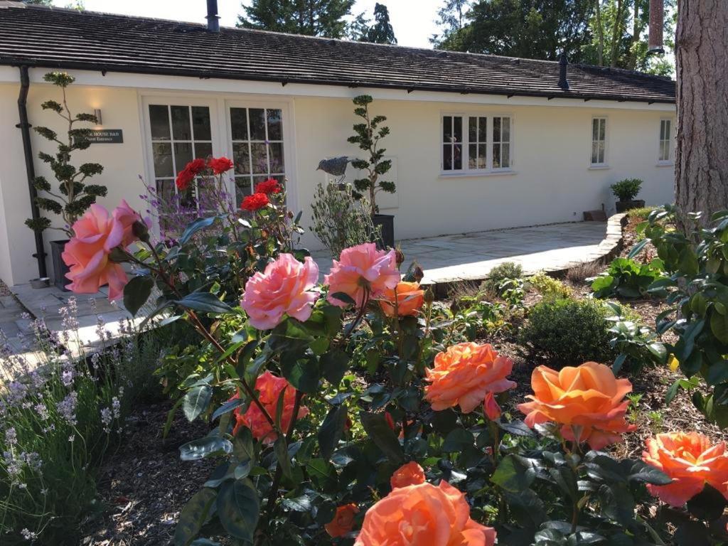 Clock House B&B Marnhull Buitenkant foto